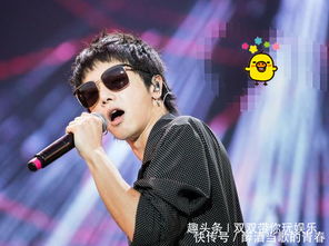 华晨宇演唱会吃播第一人(华晨宇演唱会吃播第一人—一位独特的粉丝体验之旅)