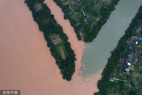 广西一地持续暴雨:稻田成河(广西持续暴雨，稻田成河的自然现象与背后的挑战)