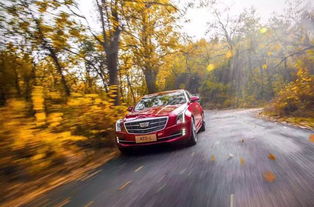 汽车ats油耗多少(汽车ATS油耗多少,深入了解与全方位解析) 汽车ats油耗多少(汽车ATS油耗多少,深入了解与全方位解析)