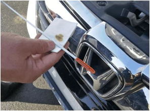 汽车油门提速多少(汽车油门提速多少，探究油门与车辆性能的关系)