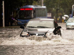 汽车水深多少合适(汽车水深多少合适,探究汽车涉水安全线) 汽车水深多少合适(汽车水深多少合适,探究汽车涉水安全线)