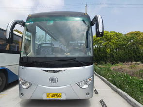 中巴汽车多少米(中巴汽车尺寸揭秘，车身长度究竟有多少米？