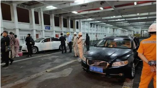 轮船装载汽车多少(轮船装载汽车的数量研究) 轮船装载汽车多少(轮船装载汽车的数量研究)