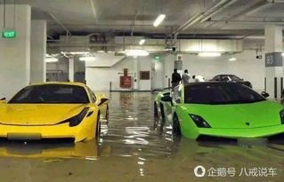 林志颖汽车多少万(林志颖的汽车收藏，价值多少万？