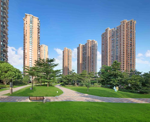 汽车水箱费多少(汽车水箱费用解析，价格因素与考量)