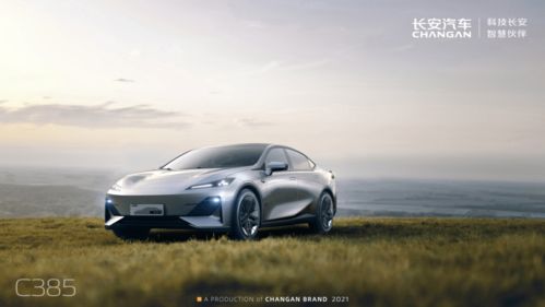 长安汽车投资多少(长安汽车的投资规模与战略布局)