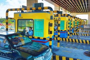 长蛇爬进收费站岗亭 收费员惊吓逃离(长蛇爬进收费站岗亭，收费员惊吓逃离)