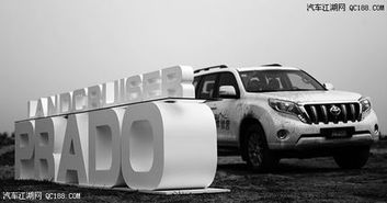 汽车去胶费用多少(汽车去胶费用详解，了解费用构成与影响因素)