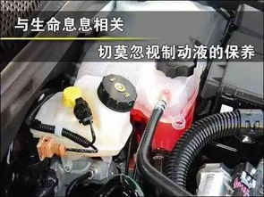 汽车多少公里换(汽车多少公里换,深入了解汽车更换周期与维护知识) 汽车多少公里换(汽车多少公里换,深入了解汽车更换周期与维护知识)