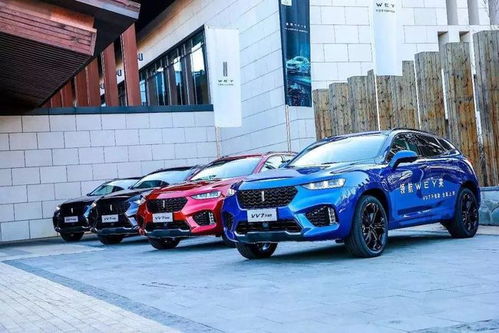 中国汽车 多少(中国汽车，多少背后的故事)