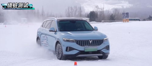 海鸥汽车续航多少(海鸥汽车续航性能深度解析) 海鸥汽车续航多少(海鸥汽车续航性能深度解析)