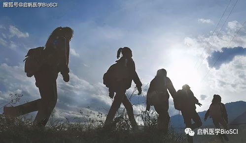 汽车涂布效率多少(汽车涂布效率及其影响因素研究)