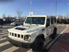 勇士汽车多少t(勇士汽车的动力性能,揭秘多少T) 勇士汽车多少t(勇士汽车的动力性能,揭秘多少T)