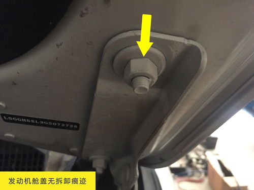 汽车全车多少螺丝多少线(汽车全车螺丝与线路数量解析)