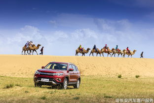 长安汽车吨位多少(长安汽车吨位多少，深入探究长安汽车的重量与性能表现)