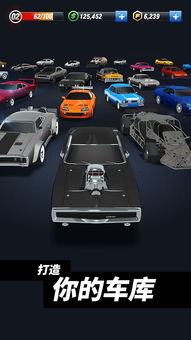 汽车最高多少速(汽车最高速度与速度与激情的碰撞)