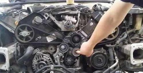 汽车共有多少皮带(汽车共有多少皮带)