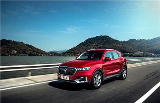 美国汽车多少品牌(美国汽车品牌的丰富多样性)