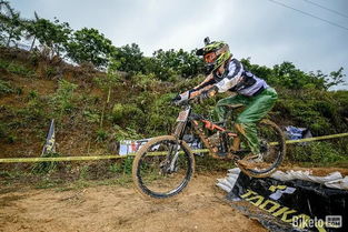 山地汽车赛道多少(探索山地汽车赛道，数量与魅力)