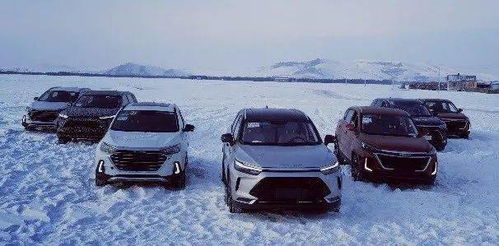 汽车冷梅多少(汽车冷启动过程中的奥秘，冷梅多少揭秘)