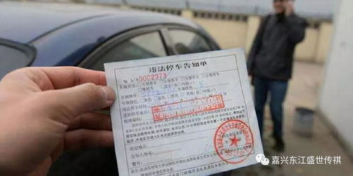 青海汽车罚款多少(青海汽车罚款标准详解)