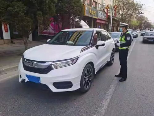 青海汽车罚款多少(青海汽车罚款标准详解)