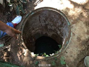 走路时踩空 大学生掉化粪池遇难(大学生走路时踩空，不幸掉入化粪池遇难)
