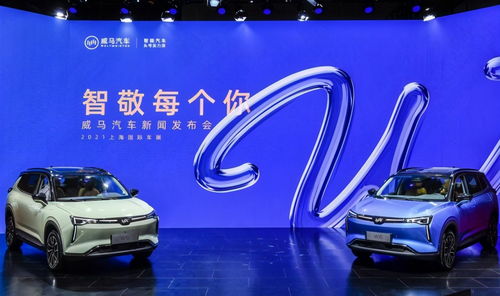 开马汽车汽车多少钱(开马汽车需要多少钱？全面解析汽车价格因素)