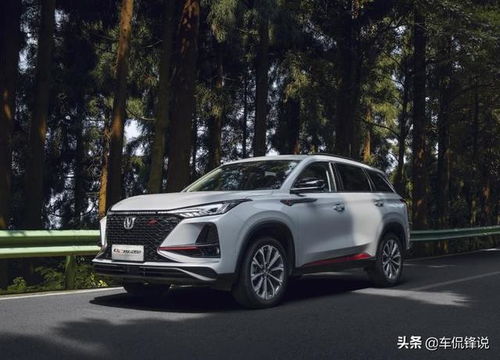 汽车出行费用多少(汽车出行费用多少,全面解析汽车出行成本构成) 汽车出行费用多少(汽车出行费用多少,全面解析汽车出行成本构成)