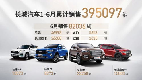 临汾都有多少汽车(临汾市的汽车数量概览)