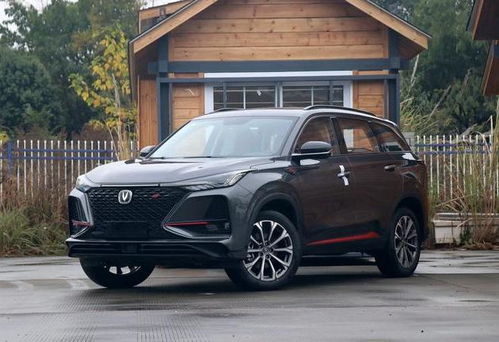 志胜汽车汽车多少钱(志胜汽车价格解析，多少钱？