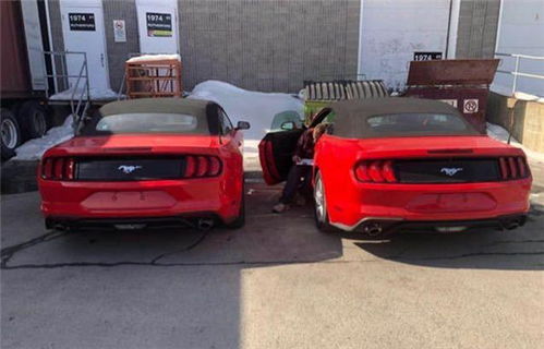 野马汽车多少钱红色汽车(野马汽车红色车型的价格解析)