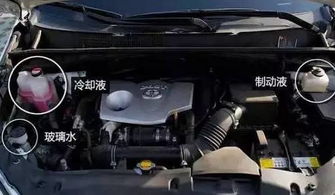 汽车保养汽车滤芯多少钱(汽车保养中不可忽视的一环,汽车滤芯的价格及其重要性) 汽车保养汽车滤芯多少钱(汽车保养中不可忽视的一环,汽车滤芯的价格及其重要性)