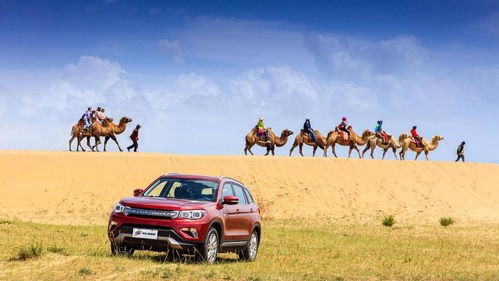 汽车人里死了多少汽车人(汽车人牺牲人数统计与缅怀)