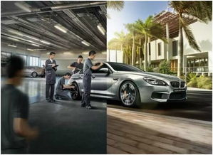 维修汽车清洗汽车多少钱(汽车维修与清洗服务费用解析)