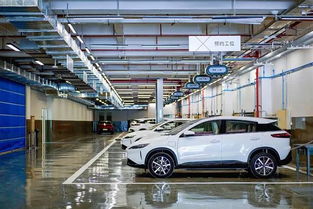 茂名汽车汽车站多少公里(茂名汽车汽车站的距离探索)