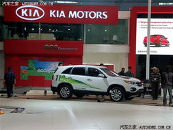 汽车城有多少汽车(汽车城中的车辆数量探秘)