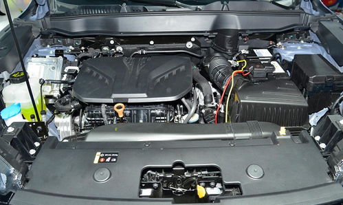 汽车多少油多少水(汽车油耗与水量，了解汽车需要多少油多少水)