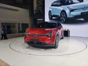 合众汽车汽车多少钱(合众汽车的价格解析)