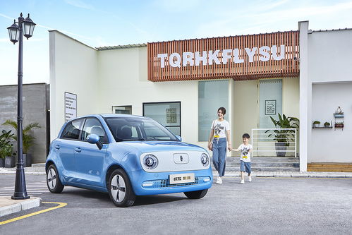 黑猫汽车多少(黑猫汽车，探寻价格背后的故事与魅力)