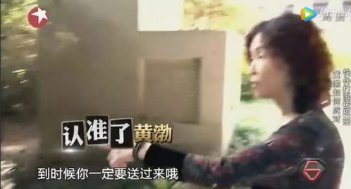 女子坠楼向丈夫喊我还没死快打120(女子坠楼生死瞬间,向丈夫喊出我还没死,快打120!的惊人故事) 女子坠楼向丈夫喊我还没死快打120(女子坠楼生死瞬间,向丈夫喊出我还没死,快打120!的惊人故事)