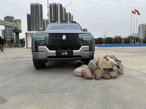 理想汽车多少(理想汽车,探索未来的无限可能,究竟多少才是完美? 理想汽车多少(理想汽车,探索未来的无限可能,究竟多少才是完美?