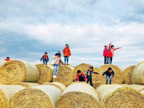 田丰汽车多少(田丰汽车，探索数字时代的汽车产业新篇章)