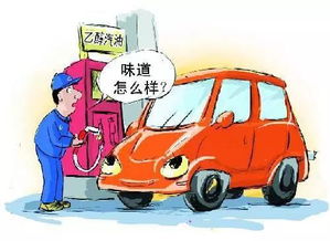 汽车采油多少(汽车采油多少，燃油消耗与影响因素详解)