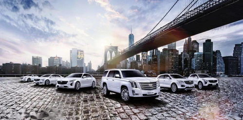 邯郸汽车有多少汽车(邯郸汽车产业的蓬勃发展，究竟有多少汽车？