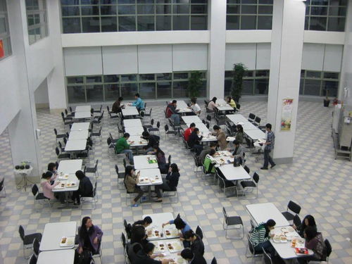 南京一大学食堂招博士？校方回应(南京一大学食堂招聘博士，校方回应背后的深层意义)