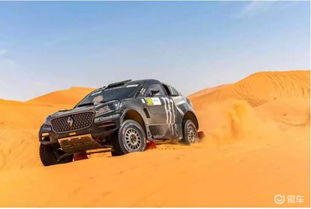 拉力赛有多少个汽车厂家(拉力赛中的汽车厂家数量概览) 拉力赛有多少个汽车厂家(拉力赛中的汽车厂家数量概览)