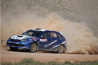 拉力赛有多少个汽车厂家(拉力赛中的汽车厂家数量概览) 拉力赛有多少个汽车厂家(拉力赛中的汽车厂家数量概览)