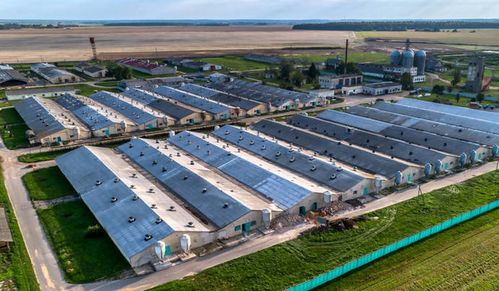 窖口汽车站到三水多少钱(从窖口汽车站到三水的交通费用详解)