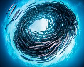 华为电脑原神潜水怎么开(华为电脑原神潜水攻略，探索未知世界的神秘之旅)